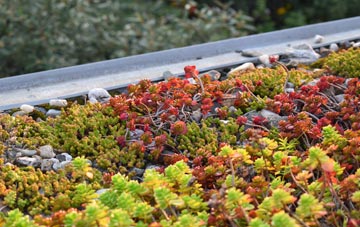 the cost of Pink Green green roof installation
