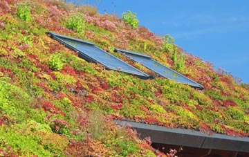 Pink Green living roof systems